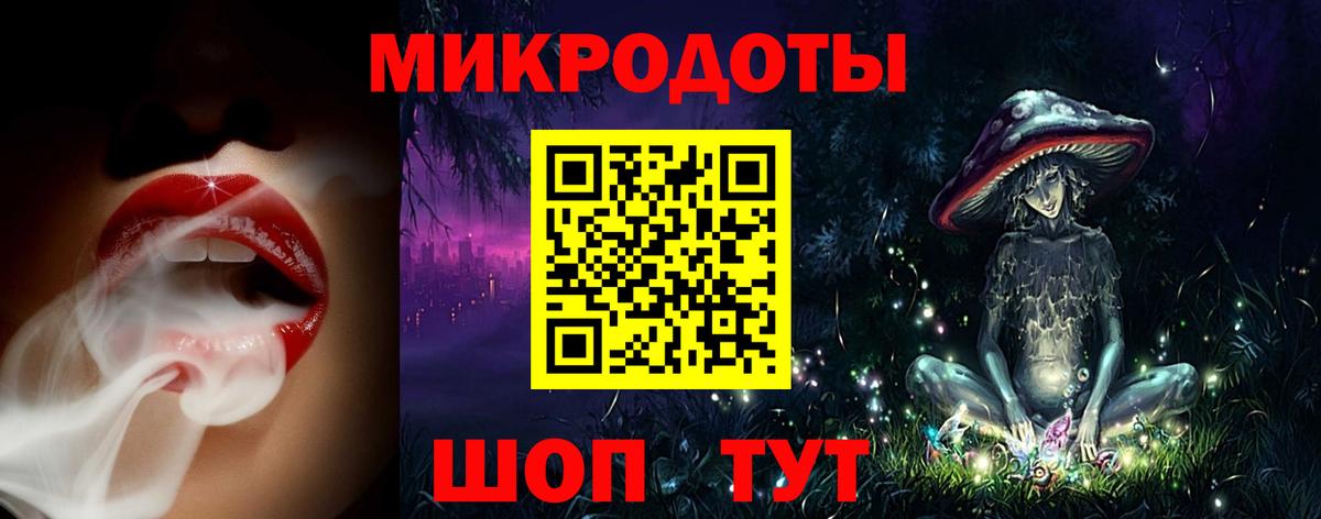 Псилоцибиновые грибы Cubensis Нерюнгри